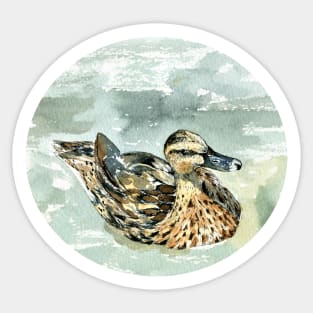 Ducky Sticker